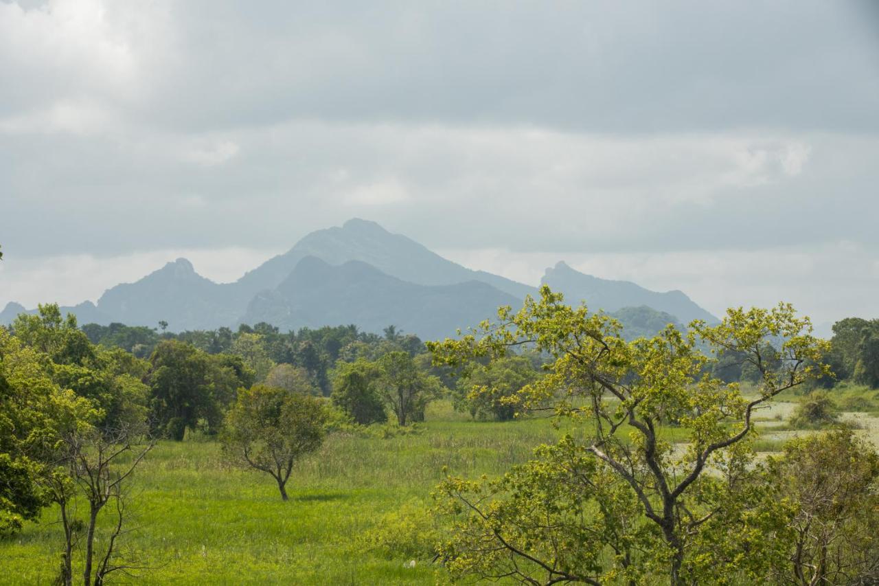 Sigiriya Wewa Addara Hotel - Hotel By The Lake Εξωτερικό φωτογραφία